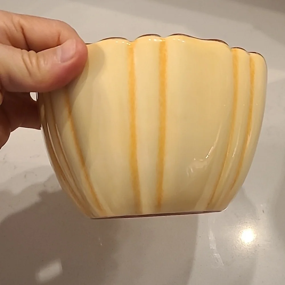 TAG Terracota Glazed Pumpkin Bowls